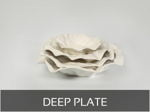 Deep-Plate