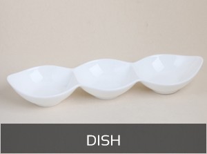 Dish