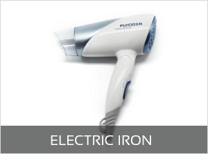 Electric-Iron(7)