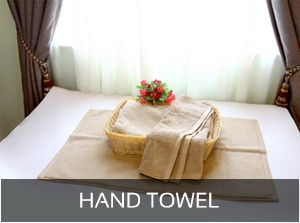 handtowel09