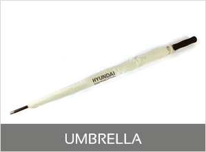 umbrela(1)